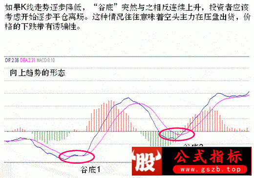 d12.gif